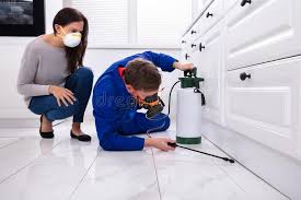 Best Real Estate Pest Inspections  in Day Heights, OH